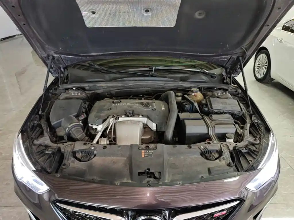 Buick Regal — миниатюра 20