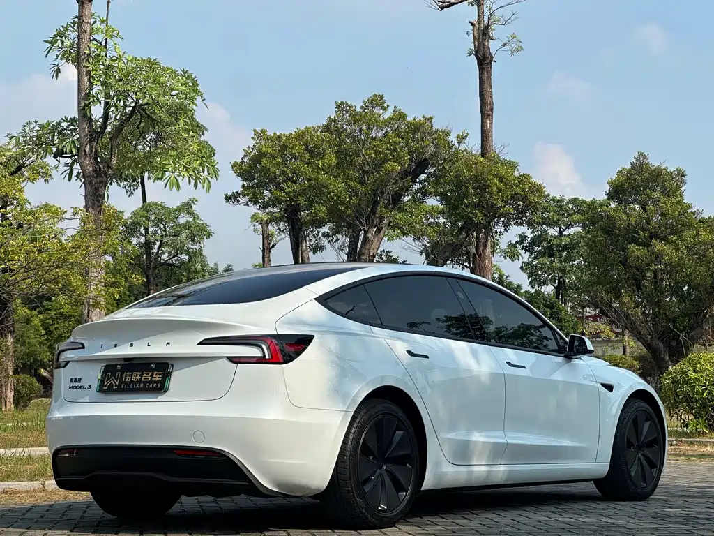 Tesla Model 3 — миниатюра 6