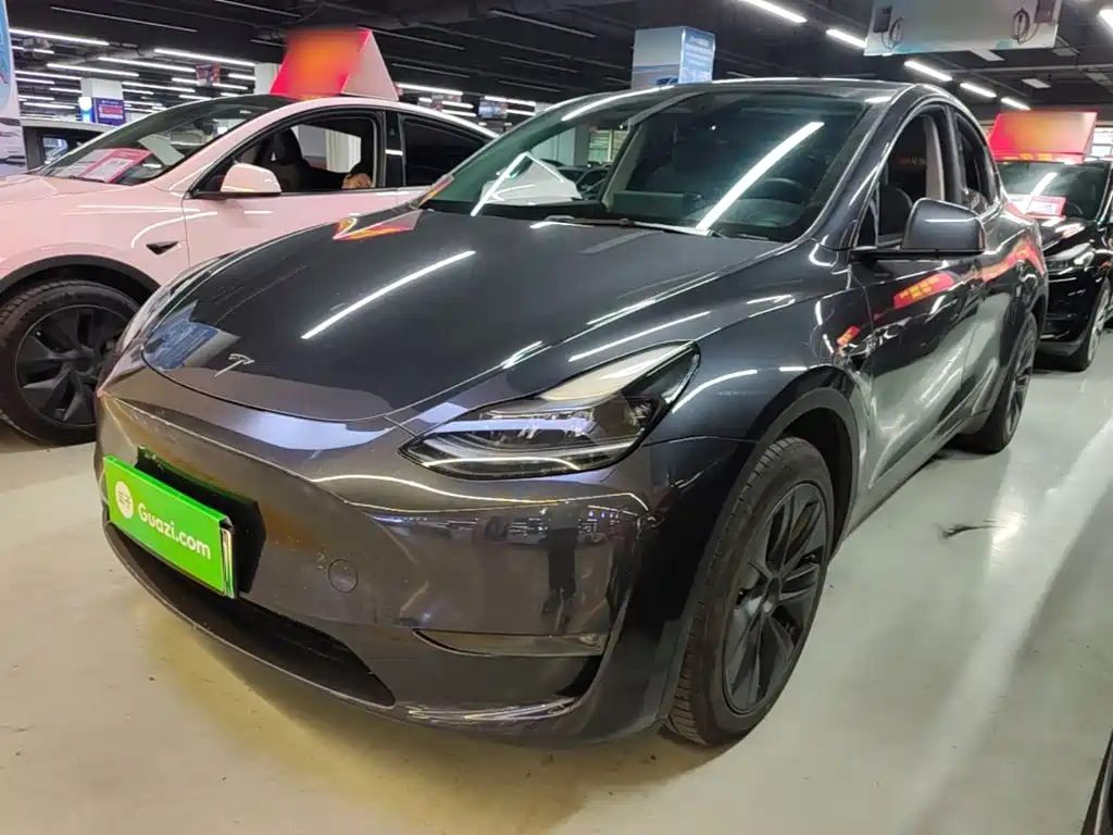 Tesla Model Y — миниатюра 2
