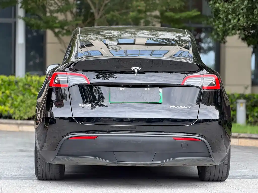 Tesla Model Y — миниатюра 8