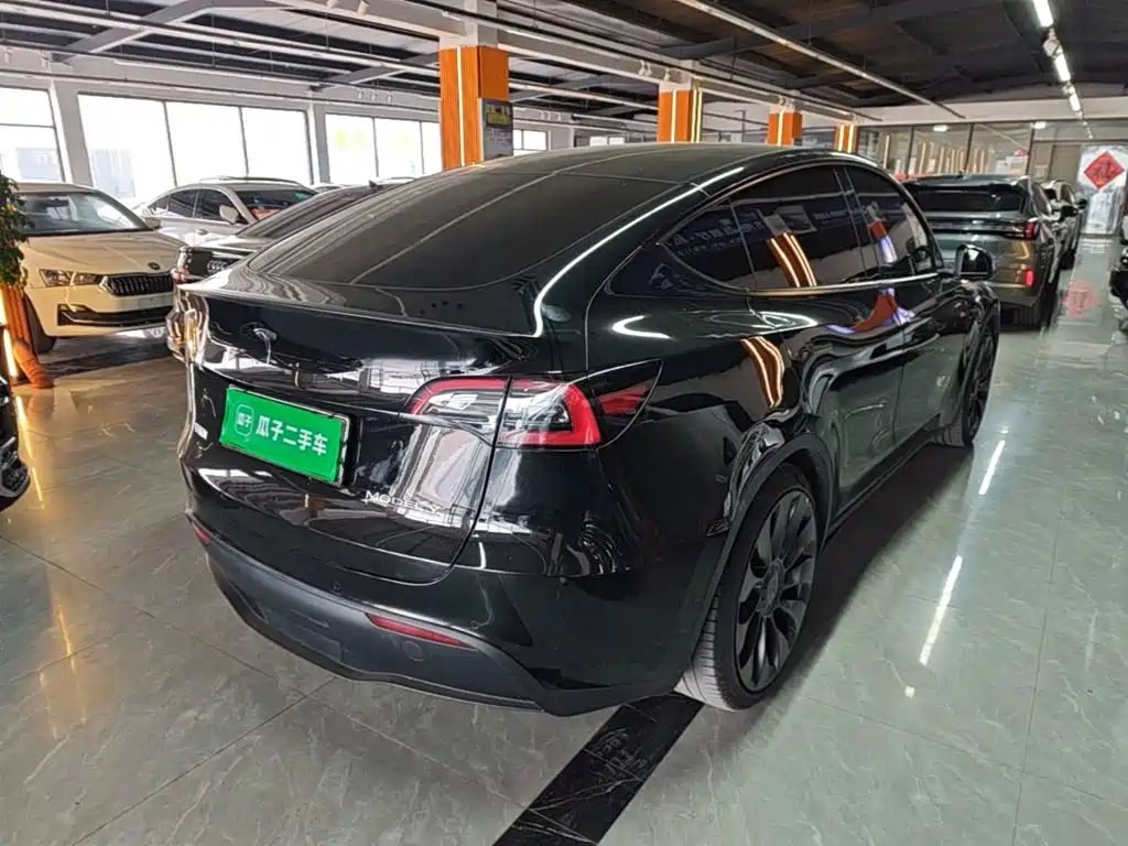 Tesla Model Y — миниатюра 7