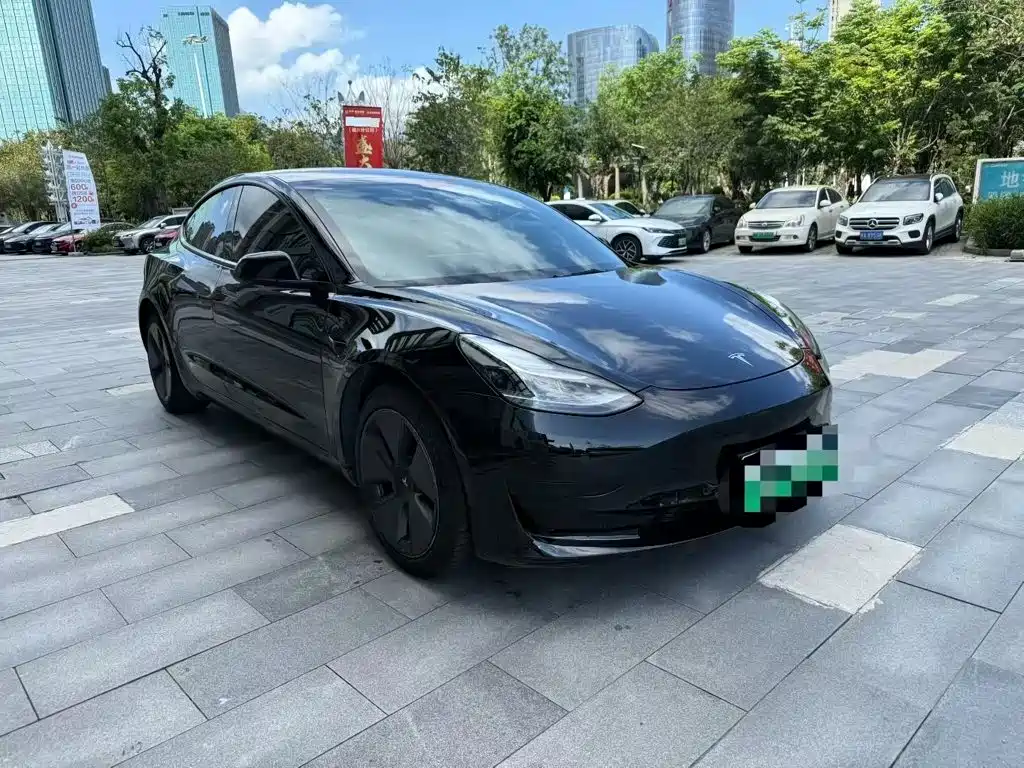 Tesla Model 3 — миниатюра 3