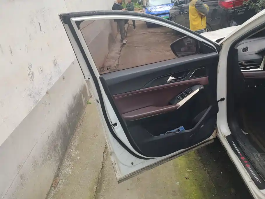 Sehol X8 PLUS Facelift 1.5 TGDI DCT Zhishang Edition 7-seater, фото 7