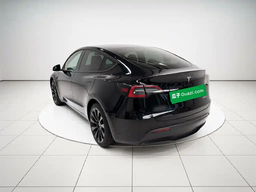 Tesla Model Y — миниатюра 4