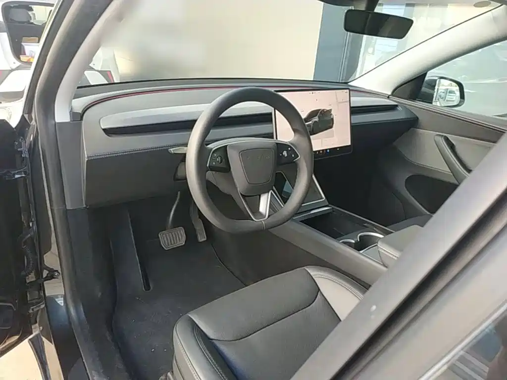 Tesla Model Y — миниатюра 10