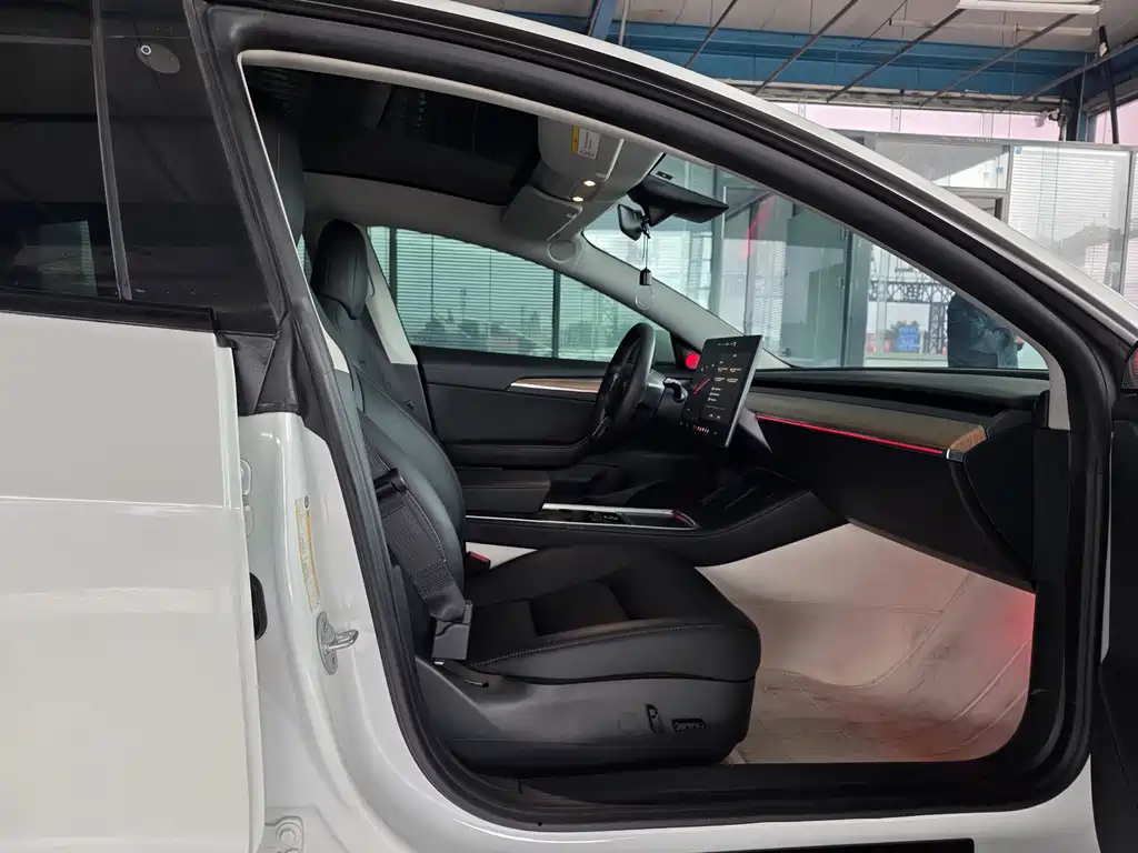 Tesla Model 3 — миниатюра 13