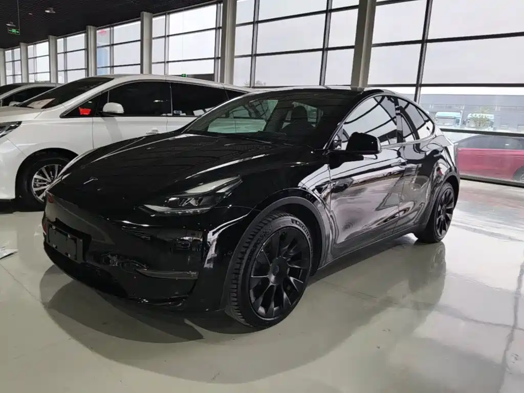 Tesla Model Y — миниатюра 2