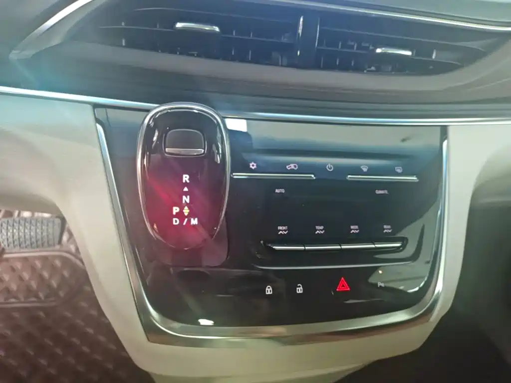 Buick GL8 — миниатюра 14