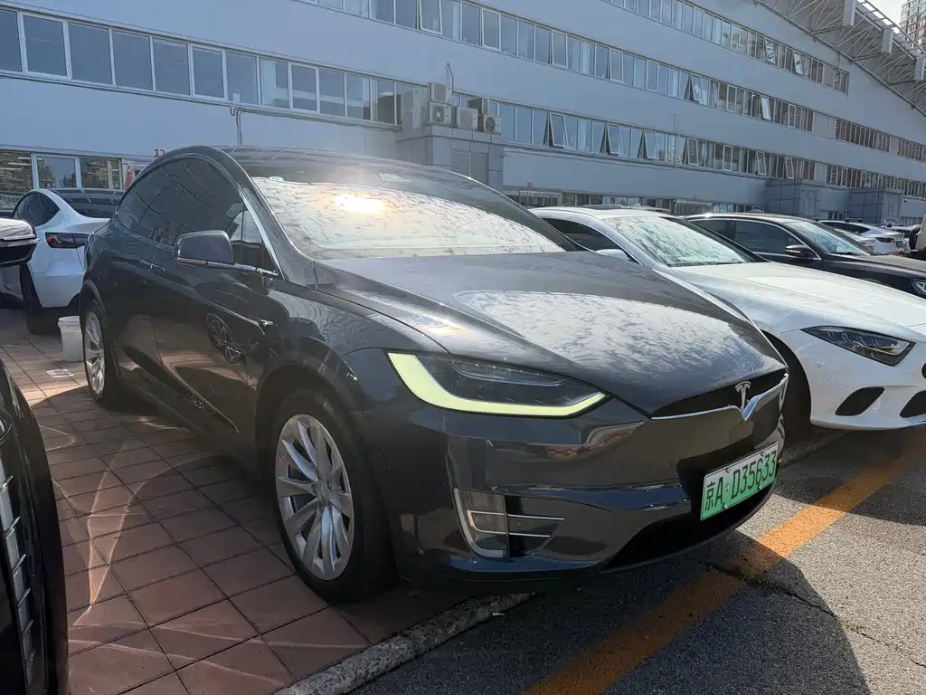 Tesla Model X — миниатюра 8