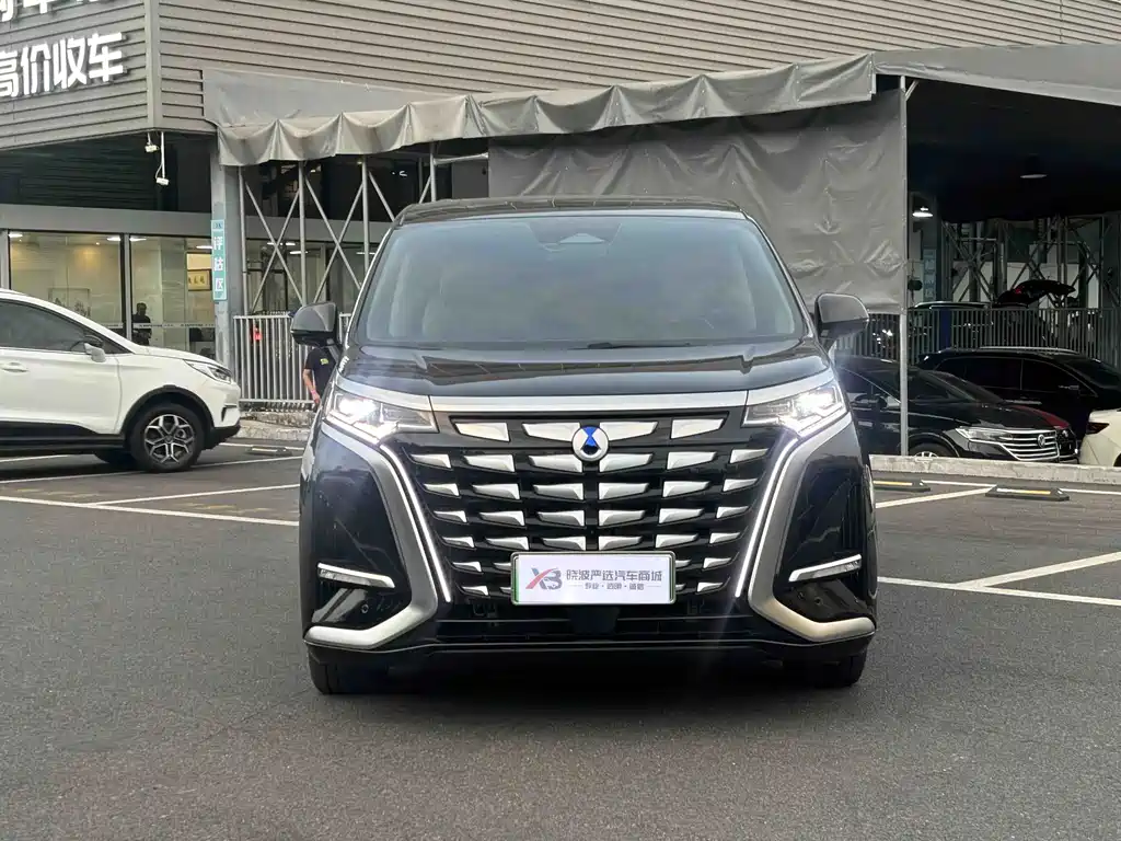 Denza Denza D9 — миниатюра 2