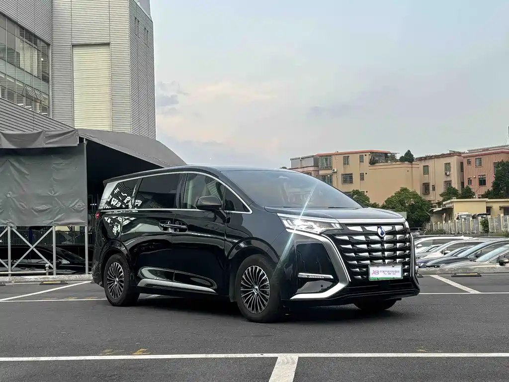 Denza Denza D9 — миниатюра 3