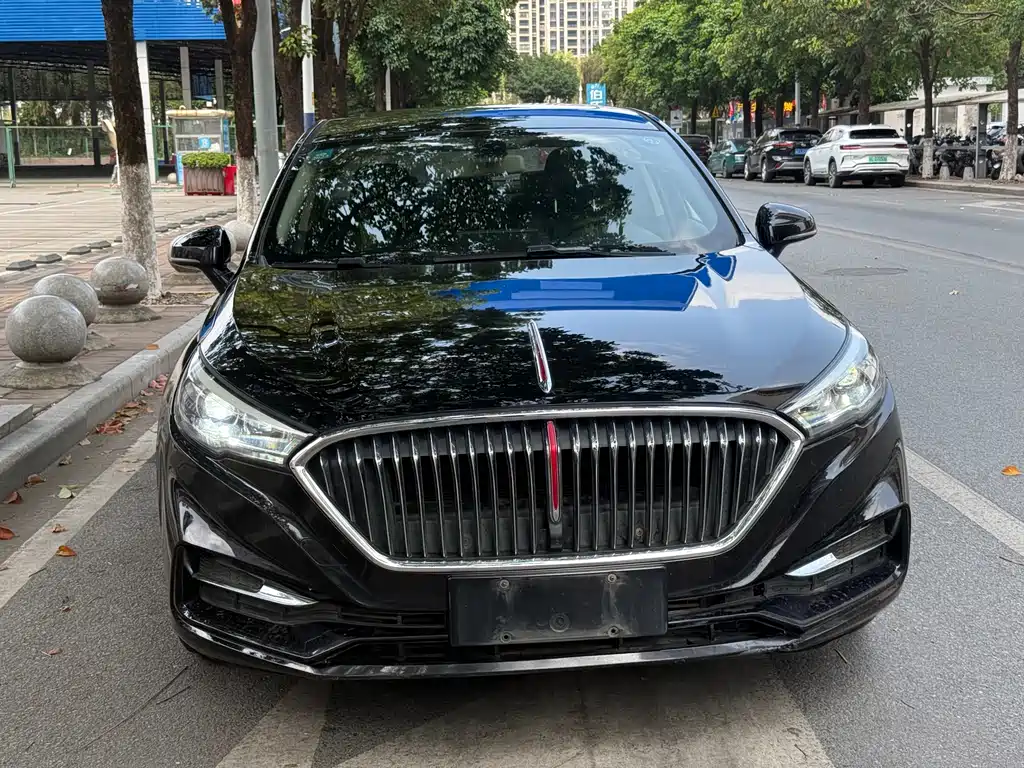Hongqi H5 2020 1.5T DCT