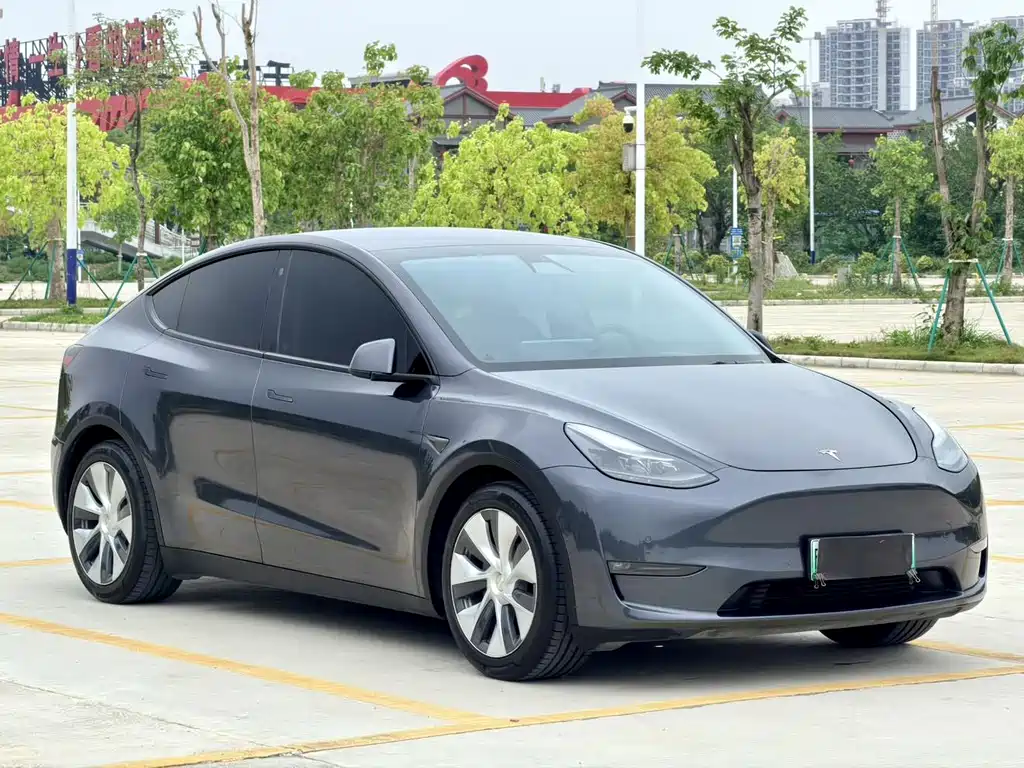 Tesla Model Y — миниатюра 2