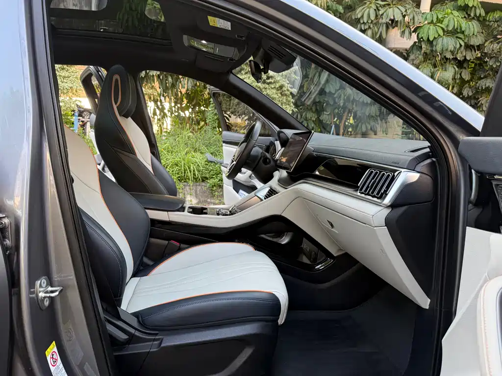 BYD PLUS New Energy — миниатюра 9