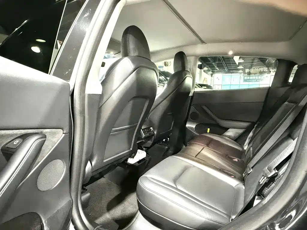 Tesla Model Y — миниатюра 6
