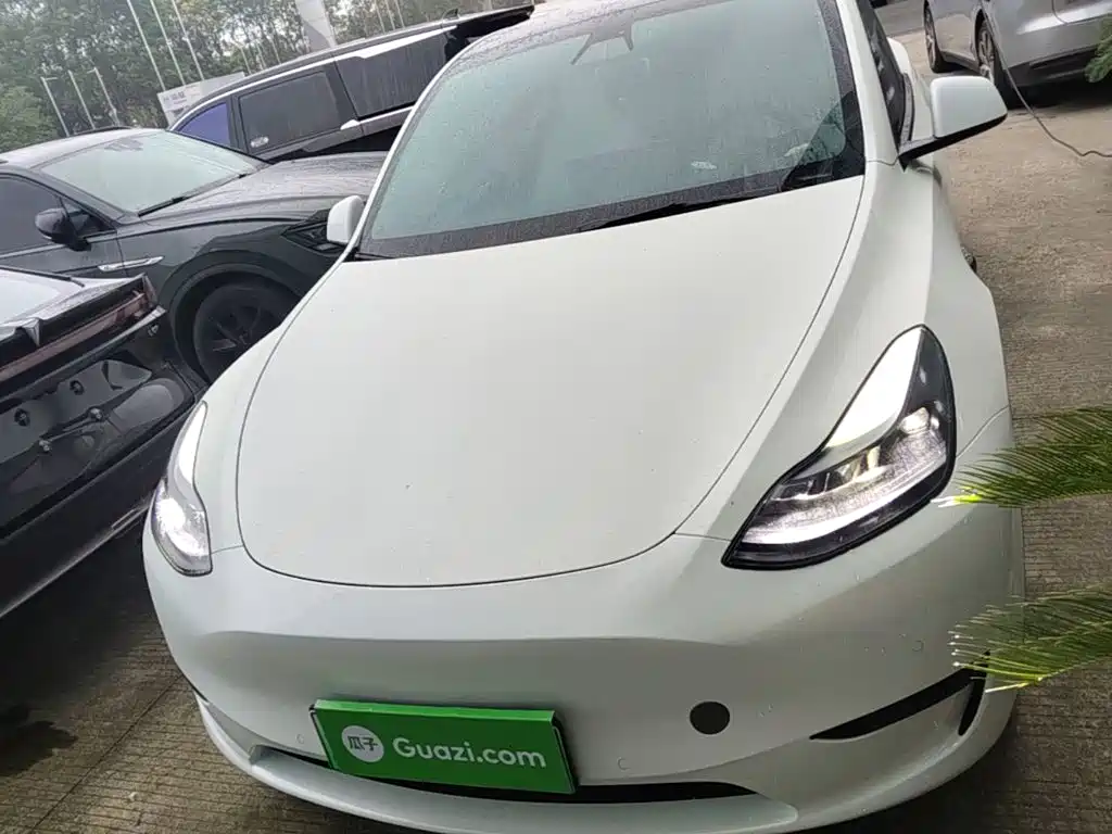 Tesla Model Y — миниатюра 3