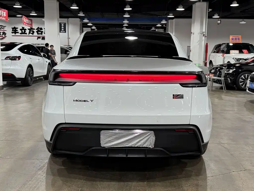 Tesla Model Y — миниатюра 8