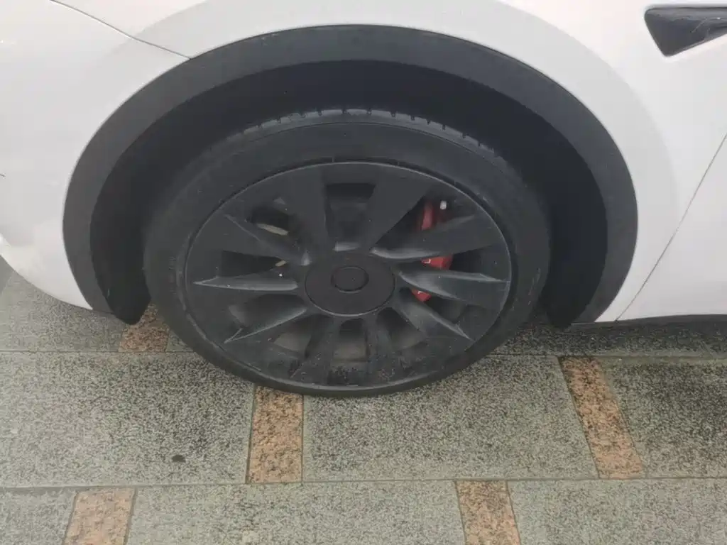 Tesla Model Y — миниатюра 23