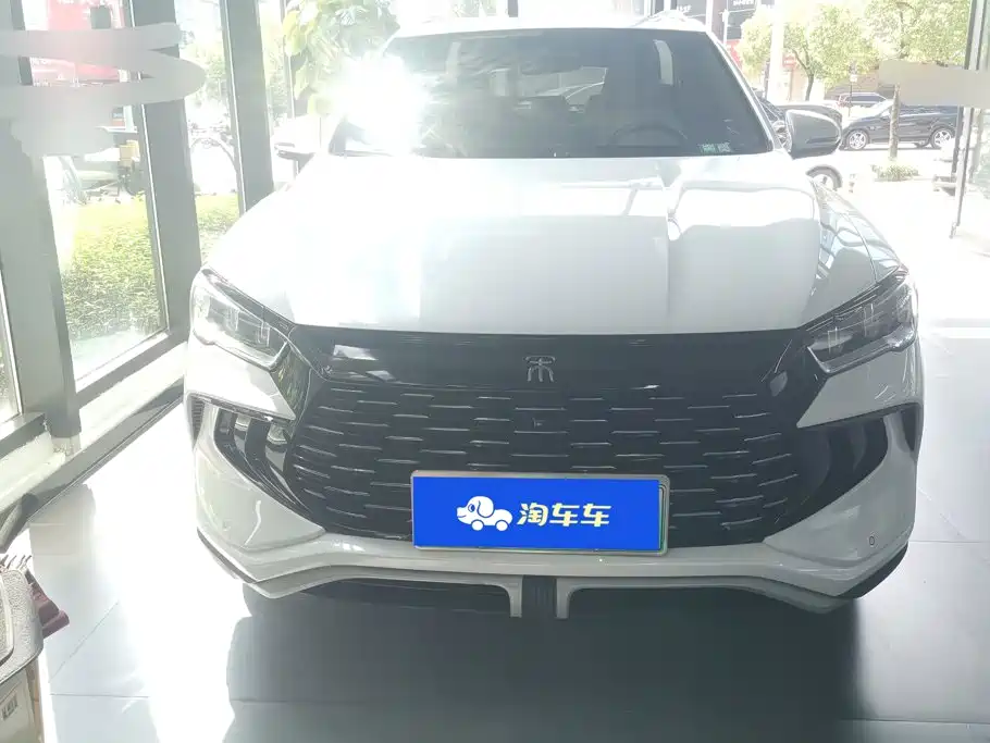 BYD Pro New Energy — миниатюра 2