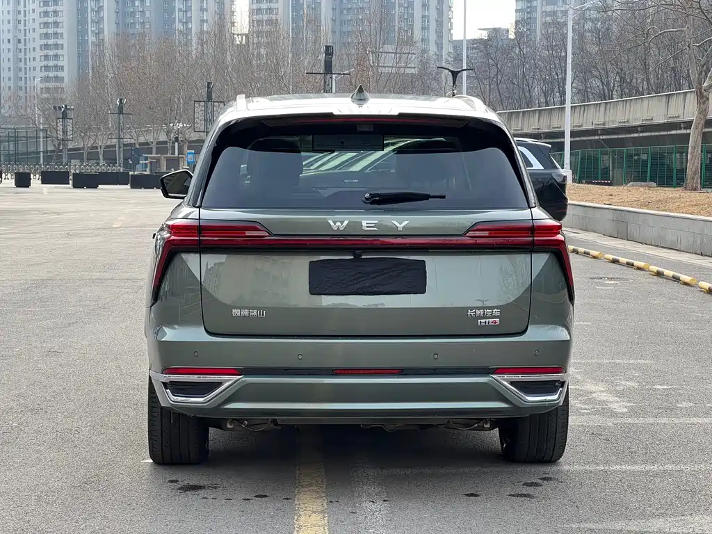 WEI PAI WEI BRAND BLUE MOUNTAIN