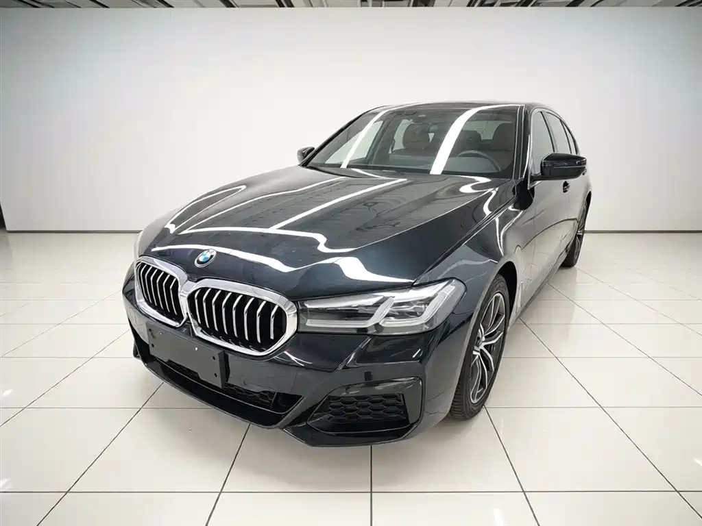 BMW 5 Series New Energy 2021