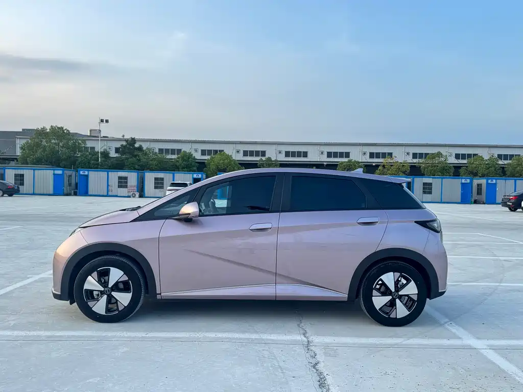 BYD Dolphin — миниатюра 3