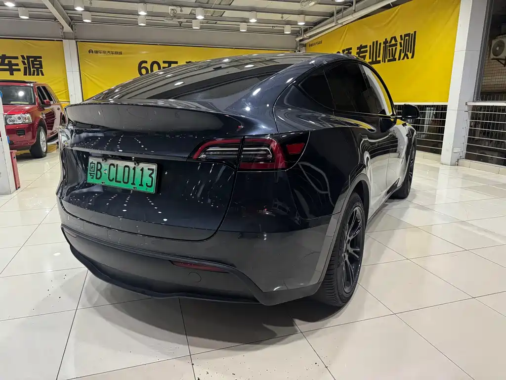 Tesla Model Y — миниатюра 5