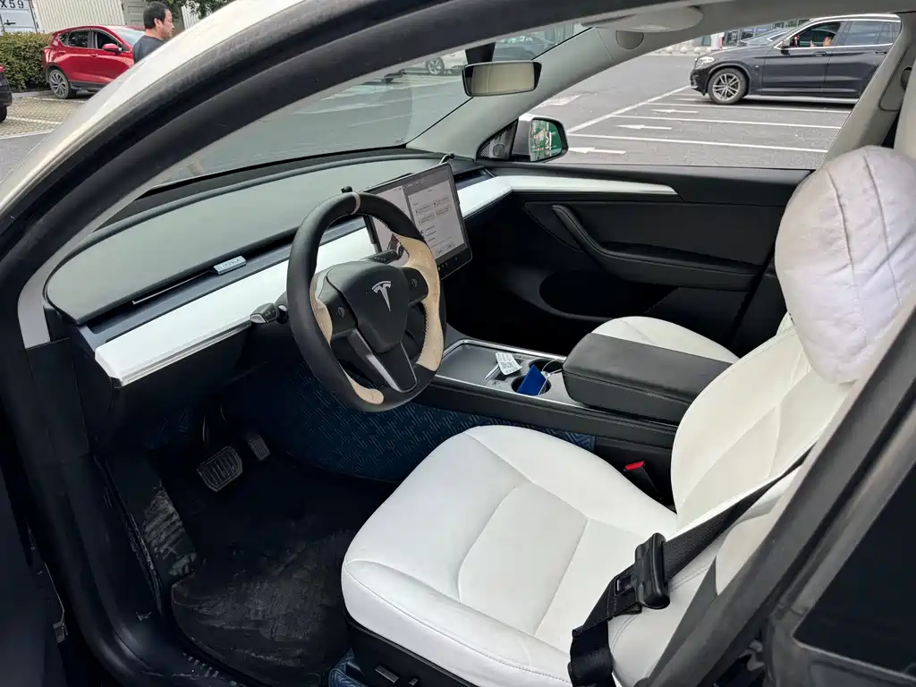 Tesla Model Y — миниатюра 4
