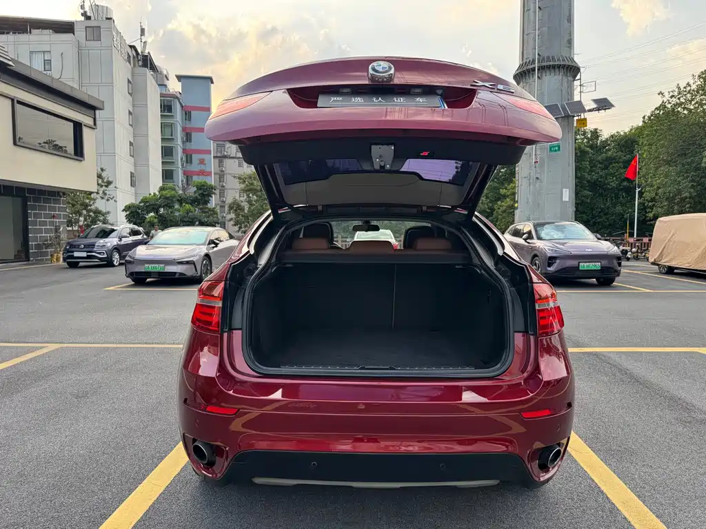 BMW X6 — миниатюра 25