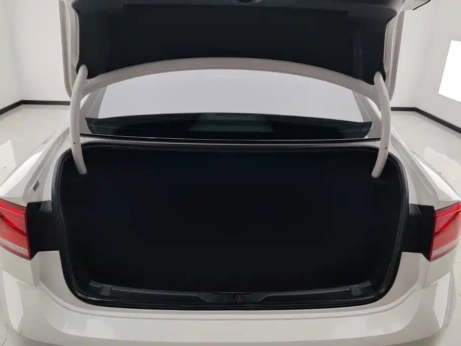 Volkswagen Lamando — миниатюра 4