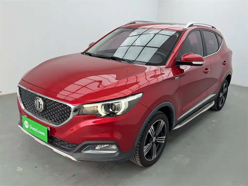 Mg ZS 2017