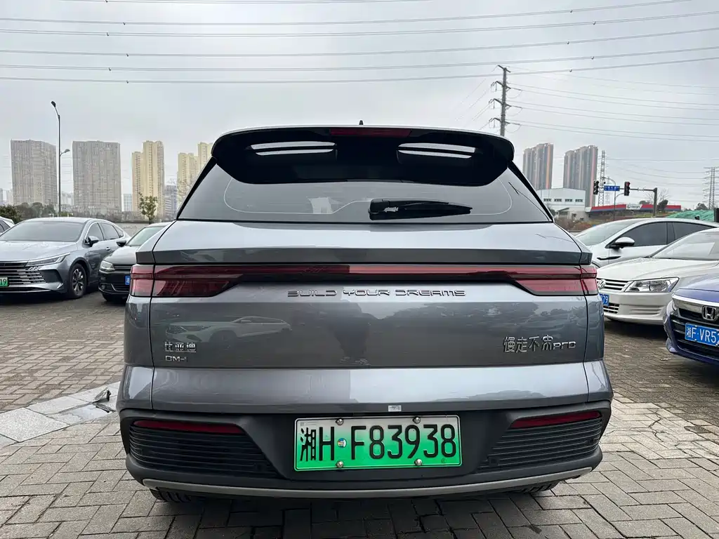 BYD SONGJIANG NEW ENERGY