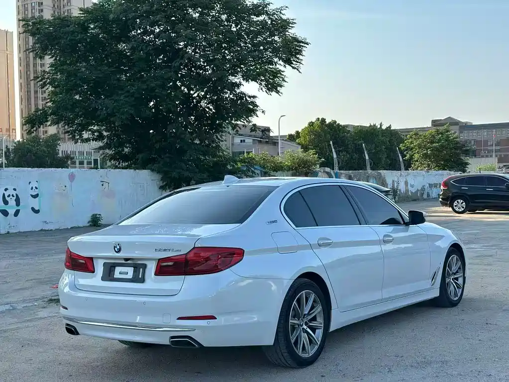 BMW 5 Series 5 2018 530Le Luxury