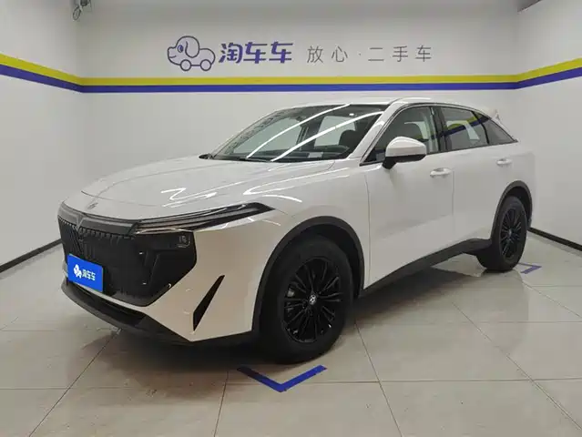 QICHEN  BIG V DD I 2024