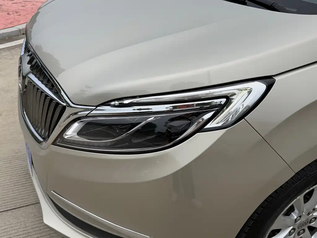 Buick GL8 — миниатюра 10