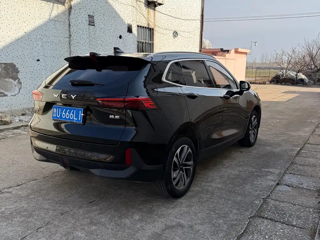 WEI PAI MACCHIATO DHT