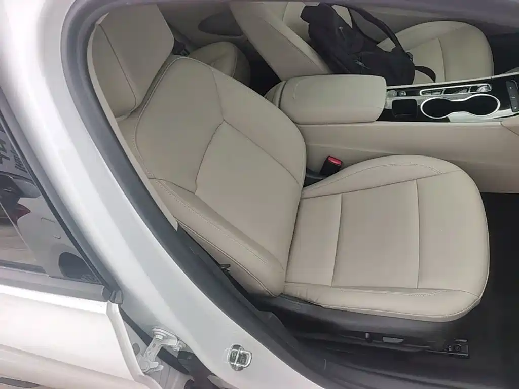 Buick Regal — миниатюра 25