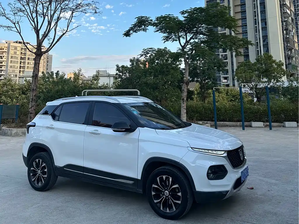BAOJUN 510