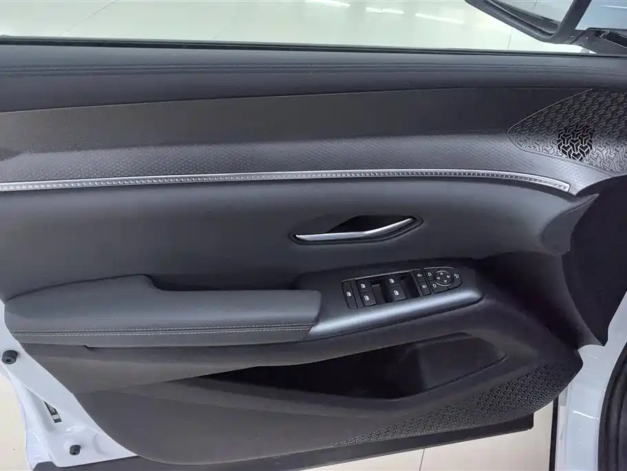 BYD SONGJIANG NEW ENERGY