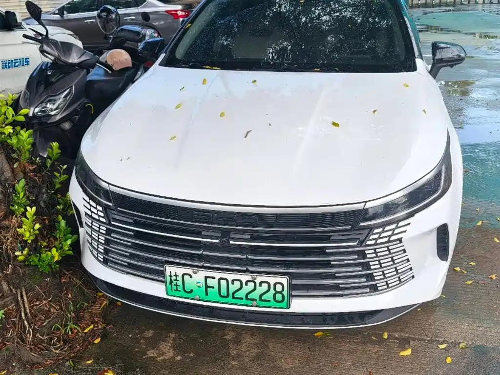 BYD Destroyer 05 2024 DM-i 55KM Luxury
