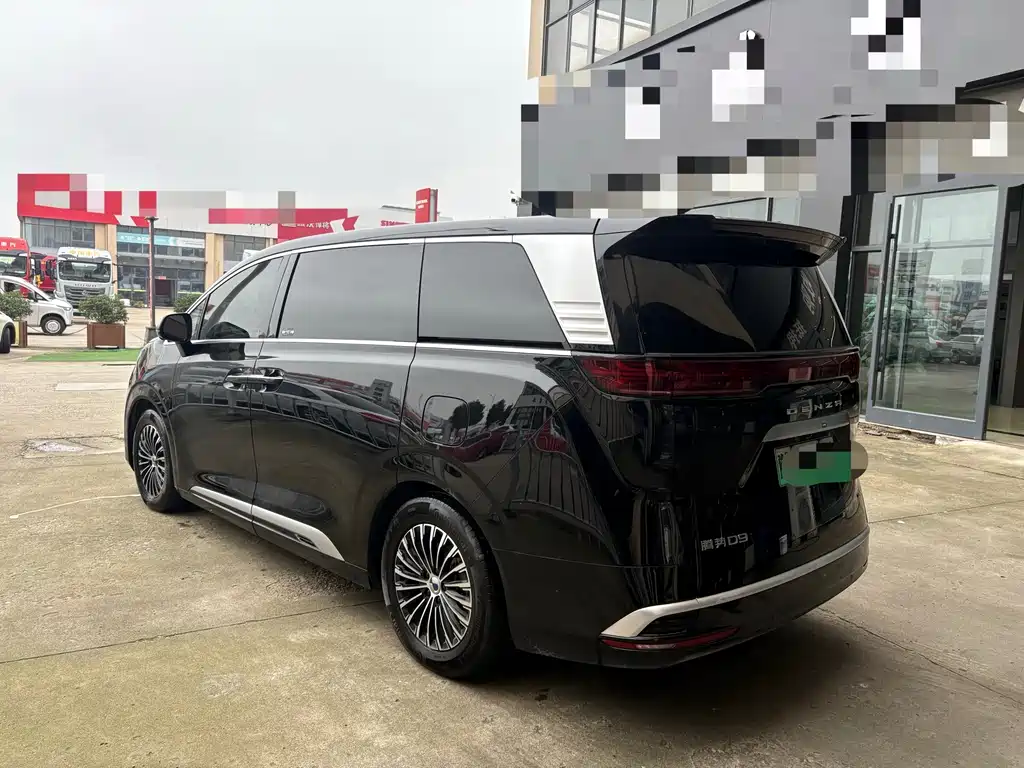 Denza Denza D9 — миниатюра 5