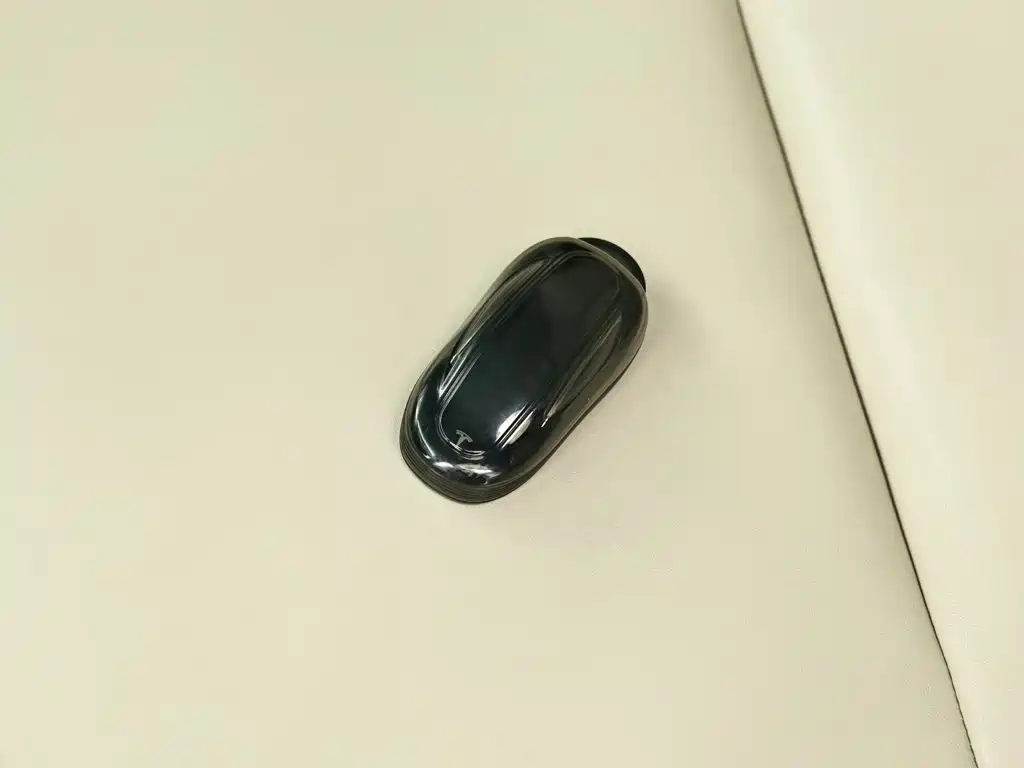 Tesla Model X — миниатюра 12