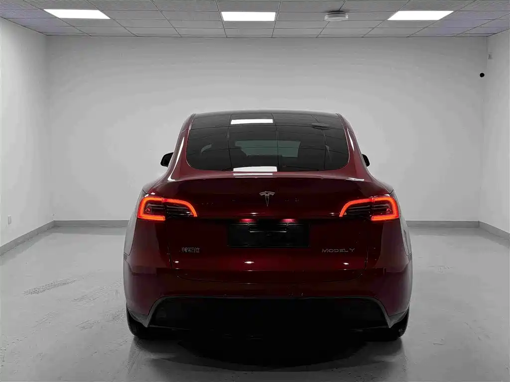 Tesla Model Y — миниатюра 19