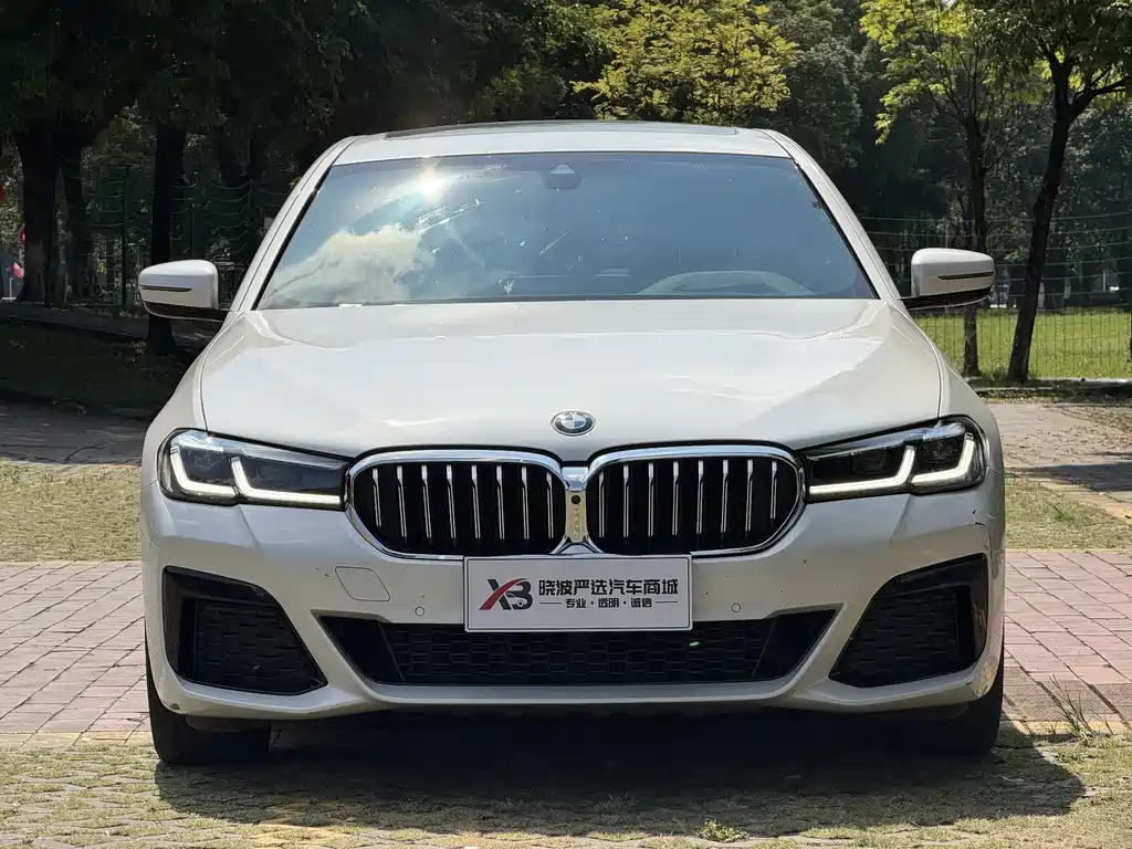BMW 5 Series — миниатюра 2