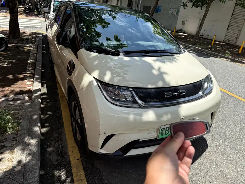BYD Dolphin 2024 420km Fashion