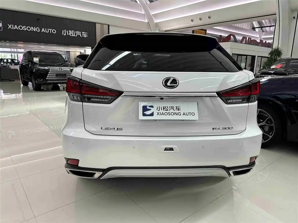 Lexus RX - фото 20