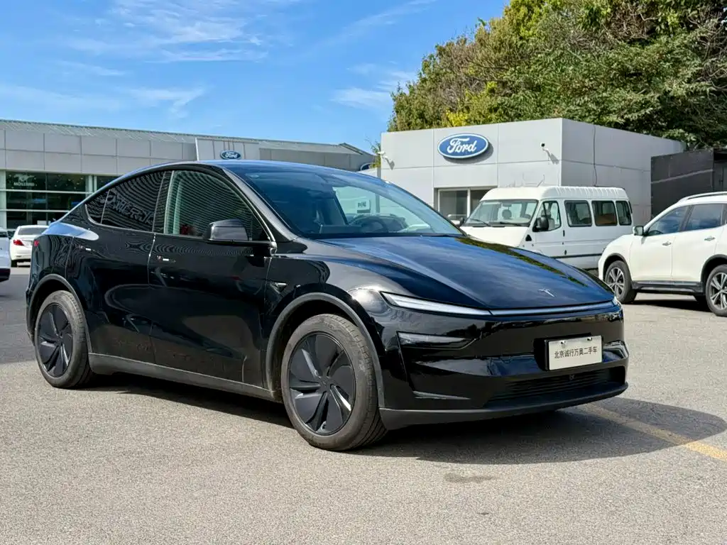 Tesla Model Y — миниатюра 6