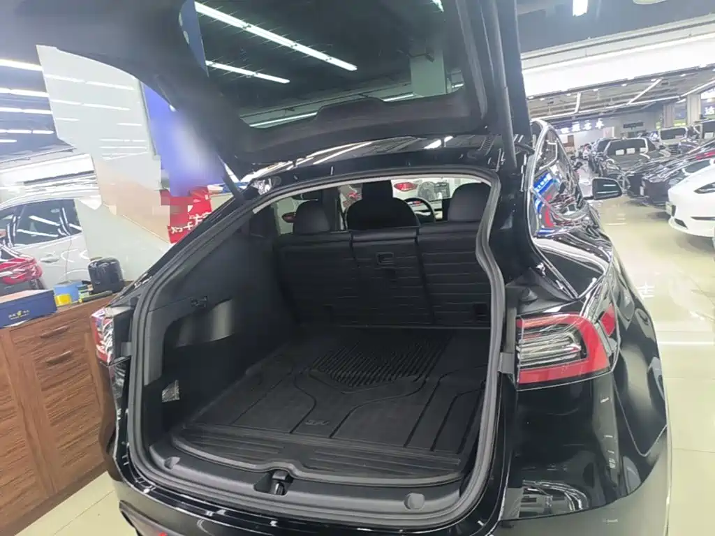 Tesla Model Y — миниатюра 19