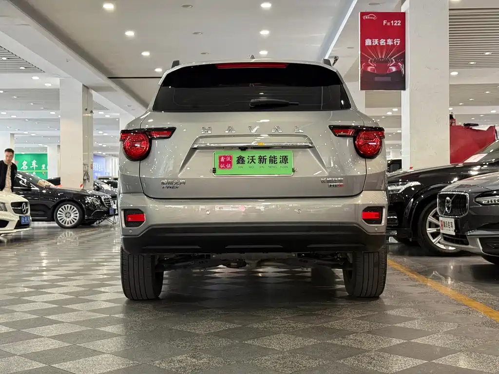 Haval Big Dog PLUS New Energy — миниатюра 4