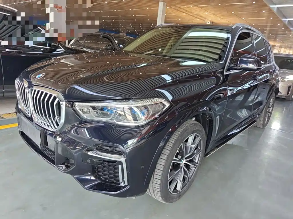 BMW X5 2022 xDrive 30Li Premium M Sport